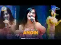 Download Lagu Angin - Laila Ayu  New Pallapa (live Petraka 2024) | Season X