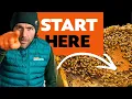 How To Start Beekeeping in 2026 Simple Steps for New Beekeepers