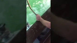 Almost sinking our boat!