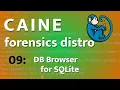 CAINE - 09