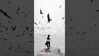 ايه فكرك بيا ايهاب توفيق دندنها