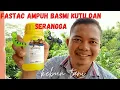 Download Lagu Obat Pembasmi Serangga Fastac 15 EC Insektisida Basmi Virus \u0026 Hama dari Basf