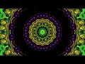 This is Psy Style | Timmy Trumpet X Vini Vici X Dj Carnage | DJ Party Rockzz Mashup
