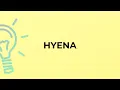 What is the meaning of the word HYENA