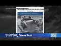 Big Game Bust In Amador County