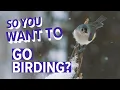 Michigan is a great state for birding Here s how to get started