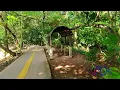 Download Lagu Belusukan Pakai Drone Whoop ke Hutan Kota Srengseng | 705FPV