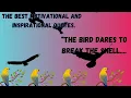 The bird dares to break the shell motivational quotes