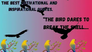 The bird dares to break the shell motivational quotes