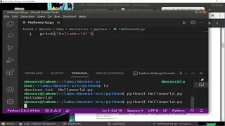 1 3 3 Lab - Python Programming Review