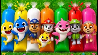 WOW! BABY SHARK & PAW PATROL SURPRISE BAGS! 🦈🐶🌈