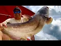 Best Catfish Bait from the Grocery Store