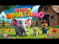 Download Lagu SUARA HEWAN | ANAK AYAM PIYIK PIYIK | 5 BEBEK KECIL BERMAIN | CIT CIT CUIT | Jamal Kids