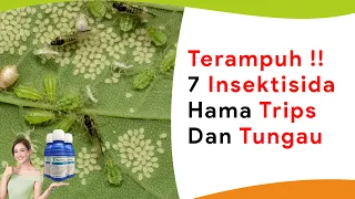 Download 7 Insektisida Paling Ampuh dan Kuat Atasi Hama Trips dan Tungau Sekaligus MP3