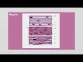 Chapter 4 Tissues