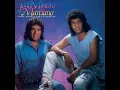 Download Lagu João Mineiro e Marciano  Viola Está Chorando