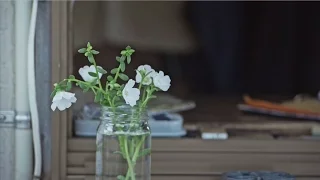 中 孝介 『花』Music Video 2016ver.