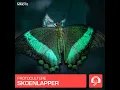 Skoenlapper (Original Mix)