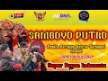 Download Lagu Live Jaranan Samboyo Putro feat Jordan Audio di Punden Barengan Kaloran Ngronggot Nganjuk