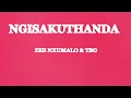 Ngisakuthanda -  Zee Nxumalo \u0026Tbo (lyrics)