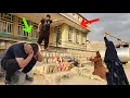 They tore up Behnam s house and car They also kicked out his mother