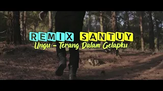 dj terang dalam gelapku ungu remix santuy