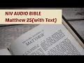 Matthew 25 NIV BIBLE with text