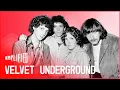 Download Lagu The Velvet Underground: One Of The Most Unique And Underappreciated Bands Of The 60s | Amplified