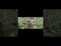 Download Lagu so cute monster hunter baby/ #movie #unfrezzmyaccount #bollywood #film #monster #hunt