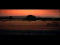 Short Film Bestially