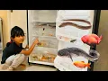 Download Lagu Menemukan Ikan Hias Dalam Kulkas Ikan Lele, Belut, Koi, Ikan Koki, ikan Sapu Sapu, Lobster, Glofish