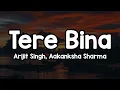 Tere Bina - Arijit Singh Aakanksha Sharma Apne dil se mera haq mitane lage