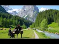 Classical music relaxes the soul and heart Mozart Chopin Beethoven Bach Tchaikovsky