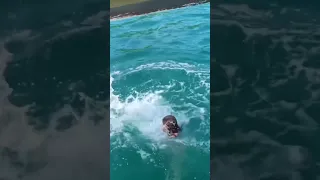 Boogie board fun in Madagascar yacht life #sailingfamily #sailingadventure #shortsyoutube