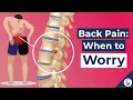 Download Lagu Low Back Pain Causes (and 7 Worrying Signs)