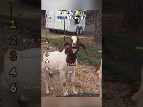 Ranking Best Goat Moments