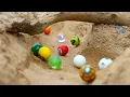 Marble Racing on REAL Sand Marble Rally S8 Race 3