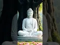 Download Lagu शांत रहने वाले व्यक्ति कभी नहीं हारते।