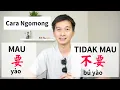 Download Lagu L20 Mau dan Tidak Mau Bahasa Mandarin Belajar Grammar 要