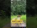 Download Lagu MASIH ADA #viral