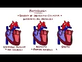 Acute Coronary Syndrome (Heart Attack) - Unstable Angina vs NSTEMI vs STEMI | With ECGs