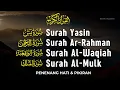 Download Lagu Relaxing Quran Recitation of  Surah Yasin, Ar Rahman, Al Waqiah, Al Mulk By Alaa Aqel