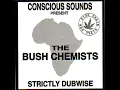 Bongo Man Dub