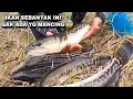 Edan..! Banyak sekali ikan toman disini warga gak hobi mancing