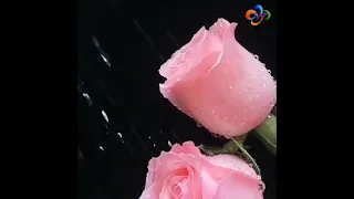 موسيقى ابراهيم تاتلس 