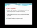 Stratum corneum