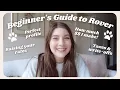 Complete beginners guide to pet sitting on Rover How much I make from Rover