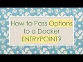How to Pass Options to a Docker ENTRYPOINT?