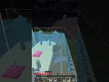 I Used The Litematica Mod in Minecraft