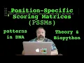 Position-specific Scoring Matrices PSSMs Theory and Biopython